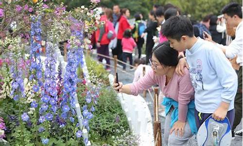 小学生看花展作文