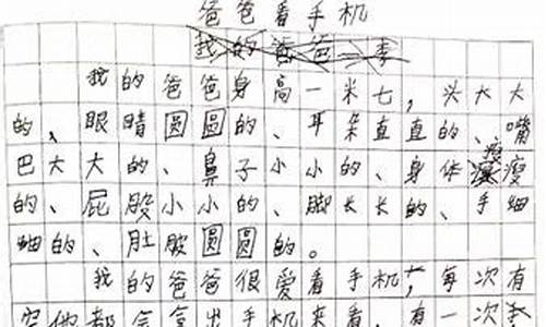 最美老师作文400字_我的最美老师作文4