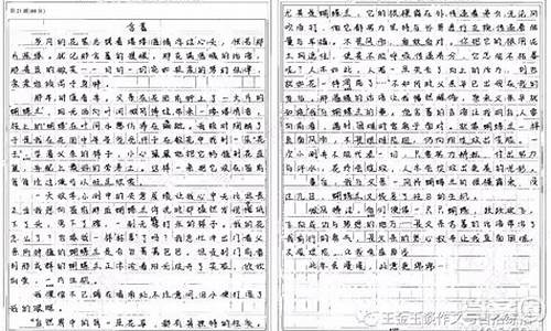 依靠作文800字记叙文_依靠作文800字