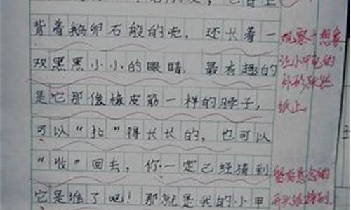 玩的快乐作文_玩的快乐作文300字