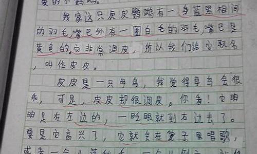 我和动物的作文500字_我和动物的作文5