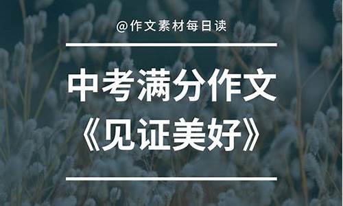 见证作文高中800作文_见证作文800字