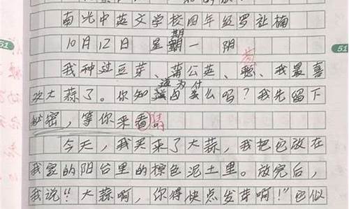 观察作文300字三年级_观察作文300字