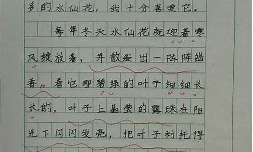 写树的作文200字大全